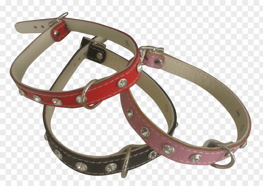 Belt Dog Collar Strap PNG