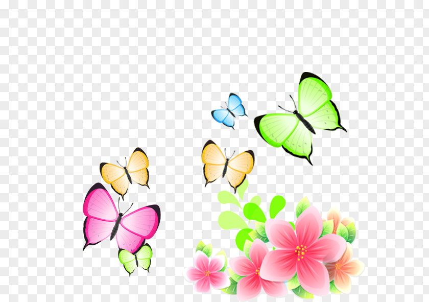 Colorful Butterfly Download Computer File PNG