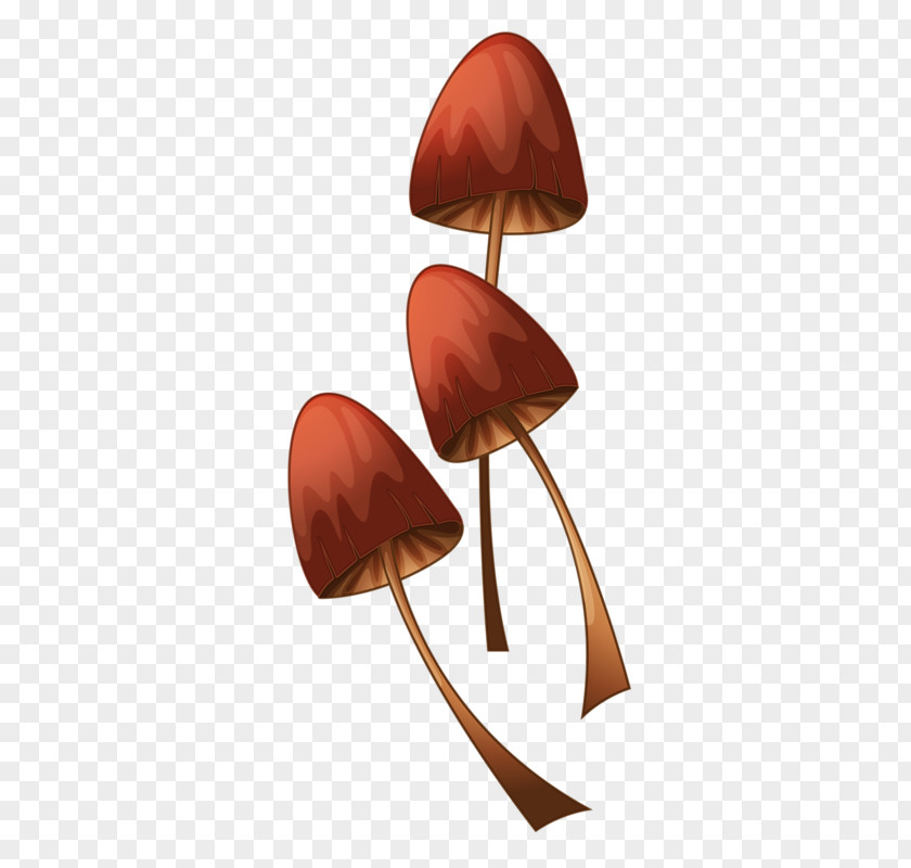 Hand Drawn Mushrooms Petal Clip Art PNG