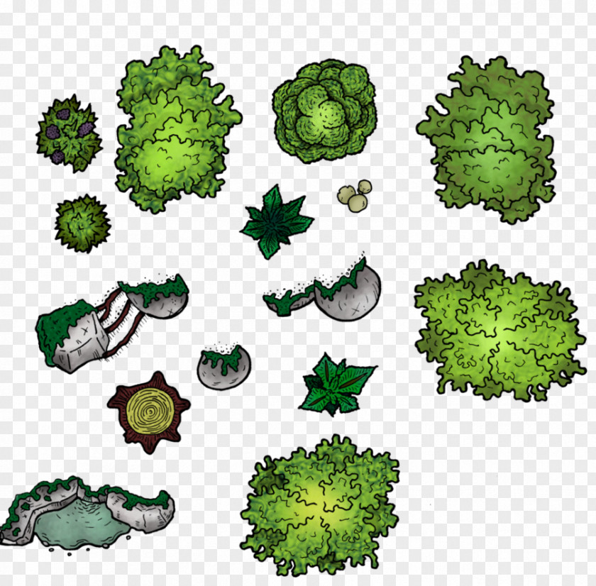 Map Drawing Fantasy Cartography Forest PNG