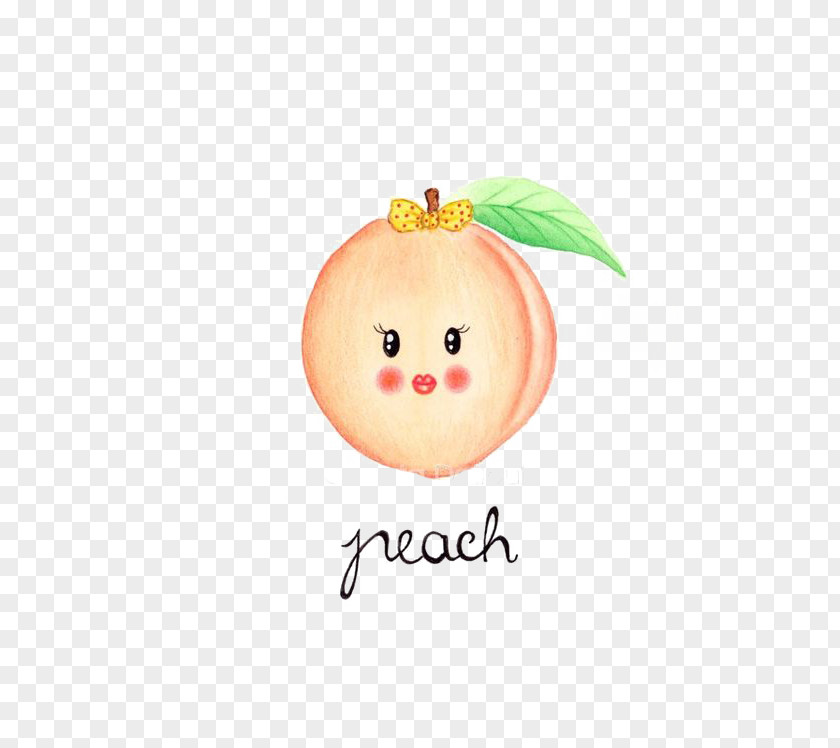 Peach Fruit Drawing Watercolor Painting PNG