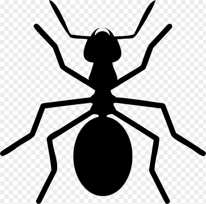 Ant Insect Download License Clip Art PNG