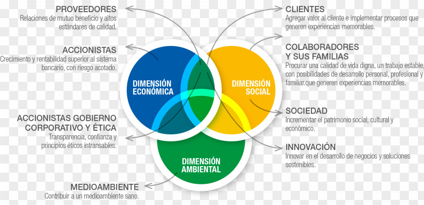 Business Empresa Stakeholder Strategy Corporation PNG