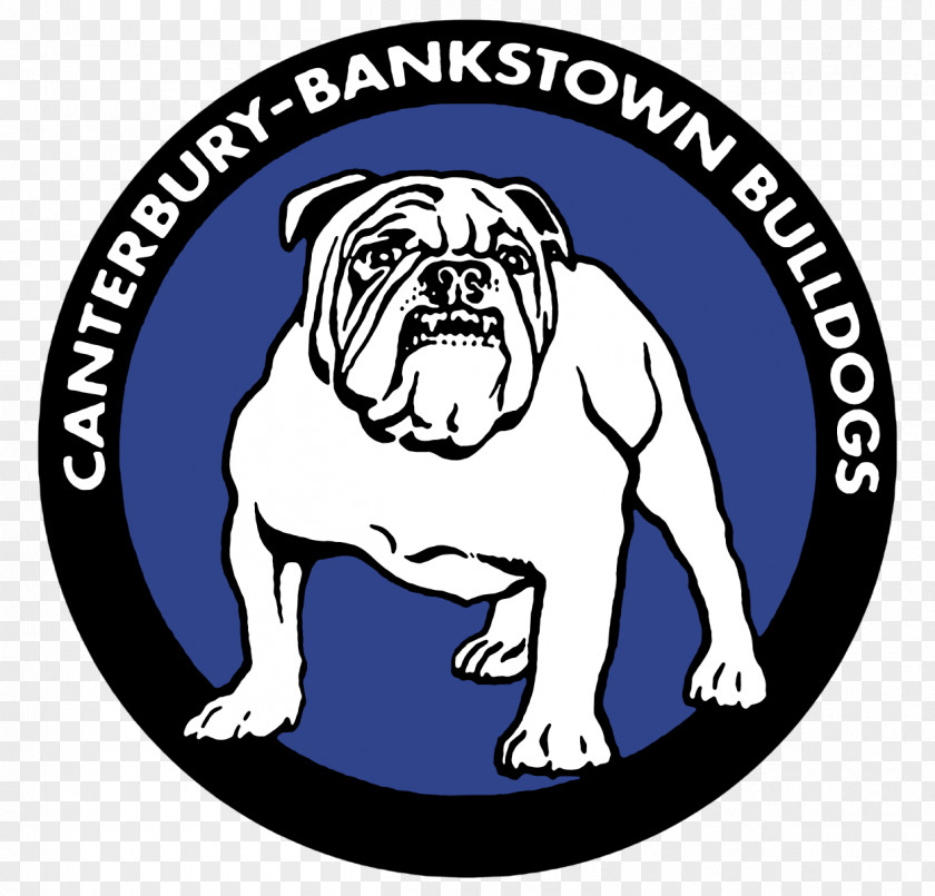 Canterbury-Bankstown Bulldogs National Rugby League Penrith Panthers PNG Panthers, others clipart PNG