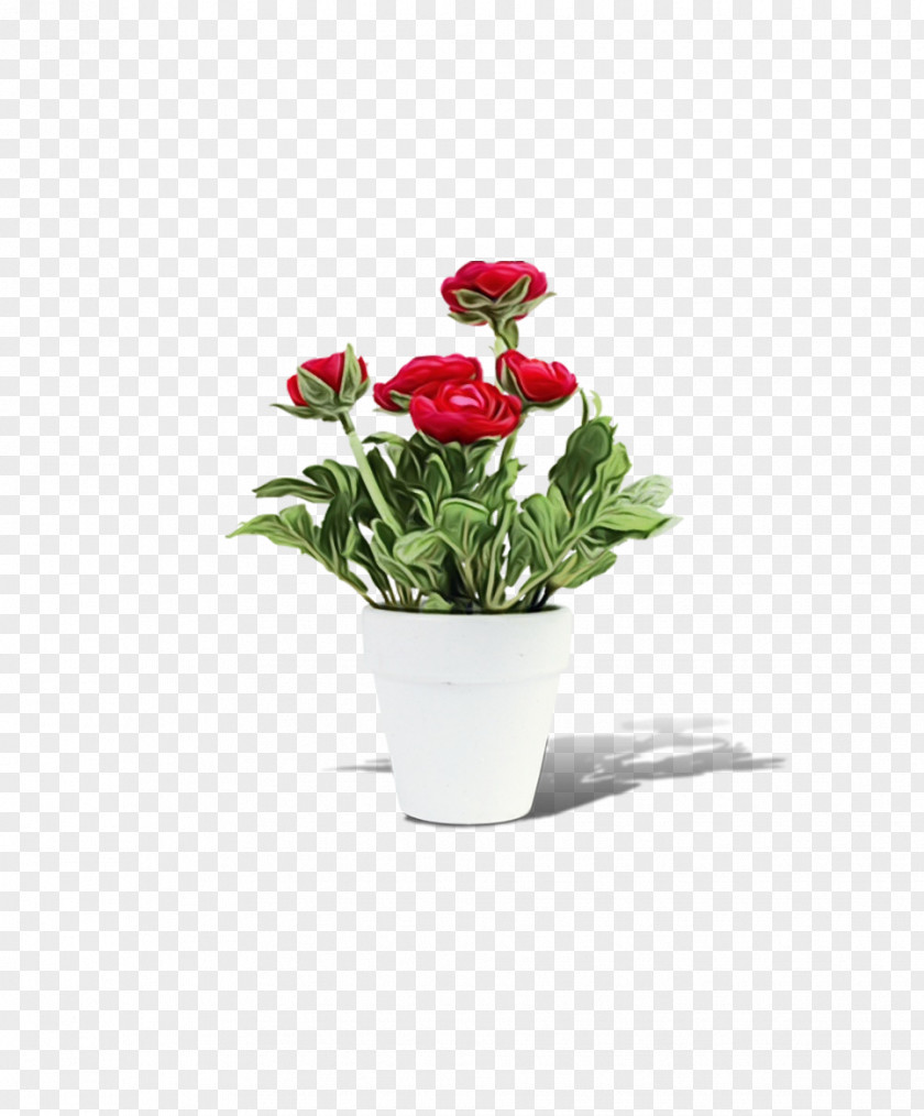 Flower Flowerpot Plant Red Cut Flowers PNG