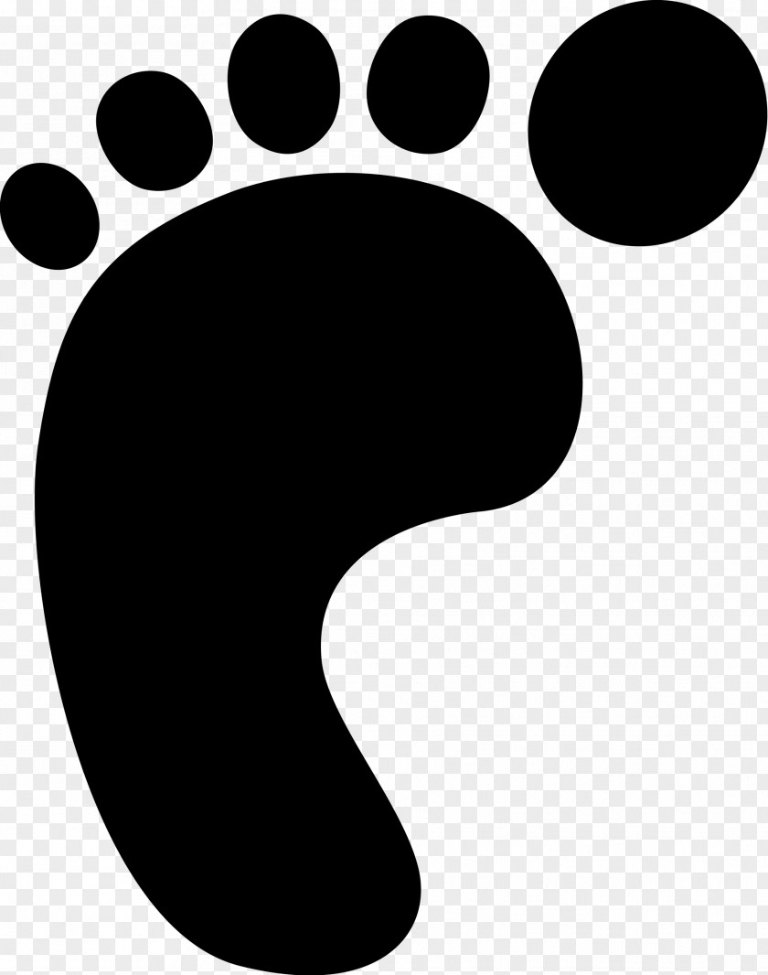 Footprint Border Bigfoot Cartoon Clip Art PNG
