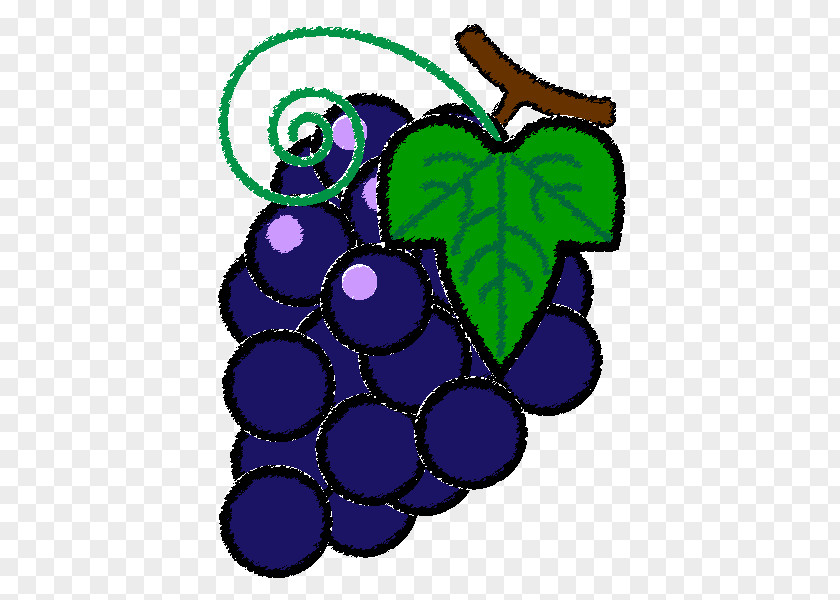 Grape Grapevines Fruit Clip Art PNG