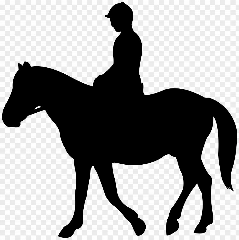 Jockey Silhouette Clip Art Image Horse English Riding PNG