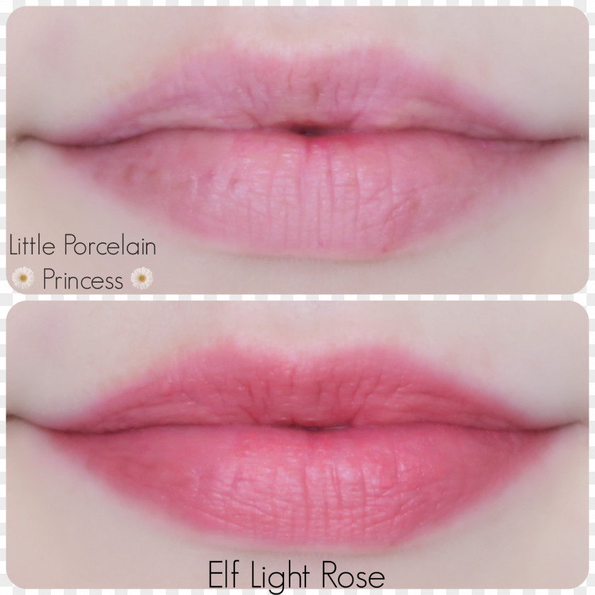 Lipstick Color 페리페라 Tints And Shades Lip Stain PNG