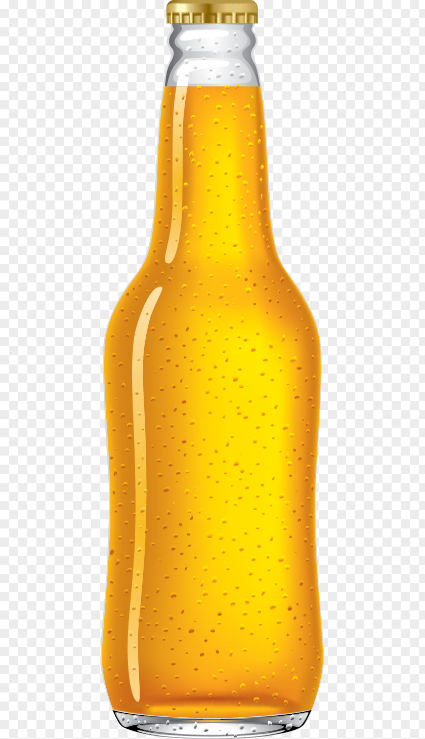 Beer Bottle Ice Tap PNG