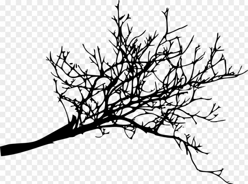 Black And White Flowers Branch Decorative Backgrou Twig Tree Woody Plant PNG