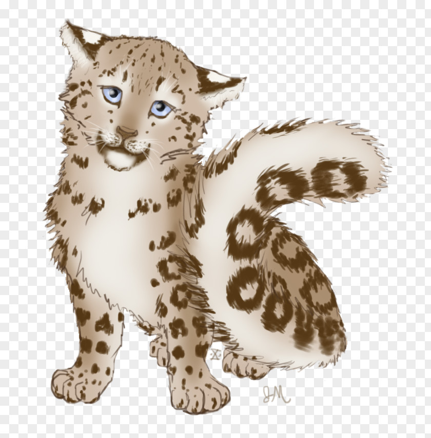 Cheetah Whiskers Snow Leopard Ocelot Felidae PNG