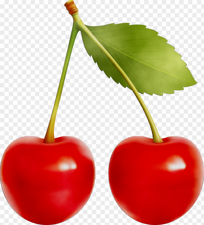 Cherry Pie Cherries Clip Art Sour PNG