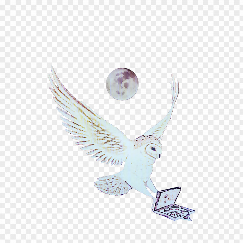 Chicken Salad Bird Of Prey Body Jewellery Silver PNG