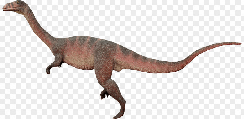 Dinosaur Plateosaurus Anchisaurus Velociraptor Chirostenotes PNG