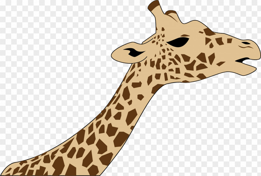 Giraffe Northern West African Clip Art PNG