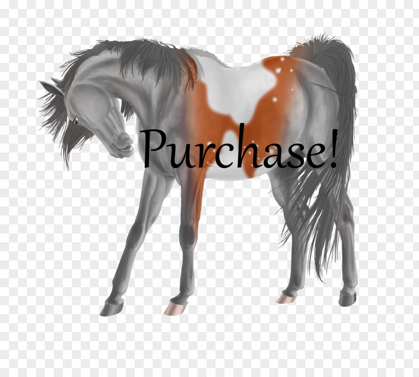 Mustang Mare Mane Foal Halter PNG