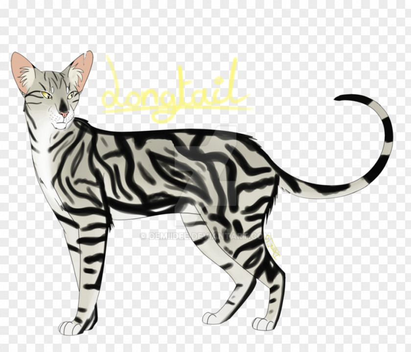 Oriental Shorthair American California Spangled Toyger Bengal Cat Sokoke PNG