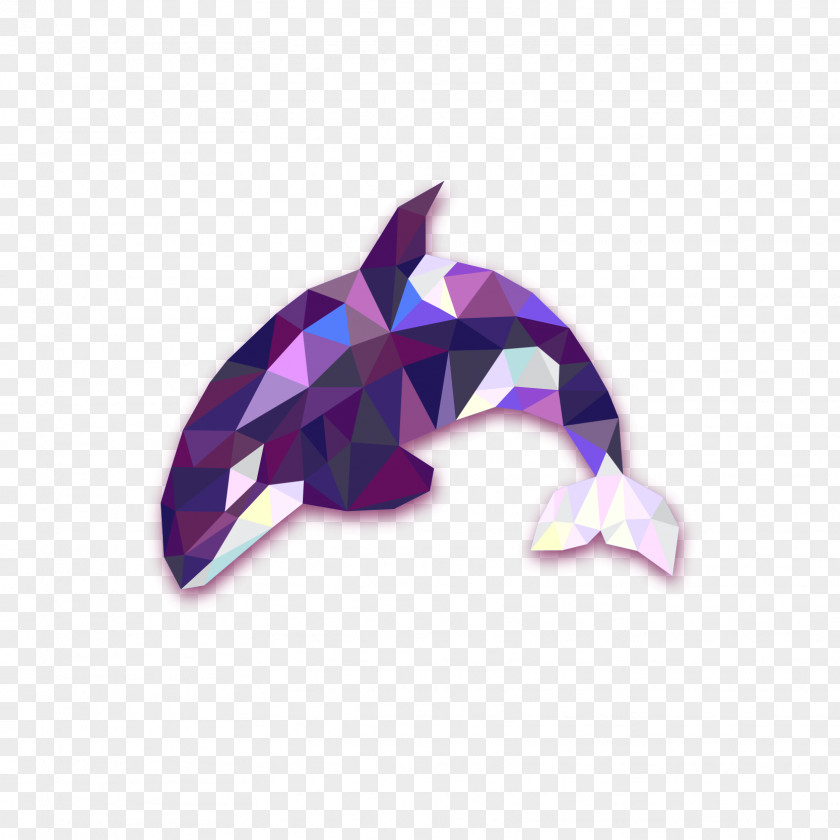 Purple Crystal Dolphin Killer Whale PNG