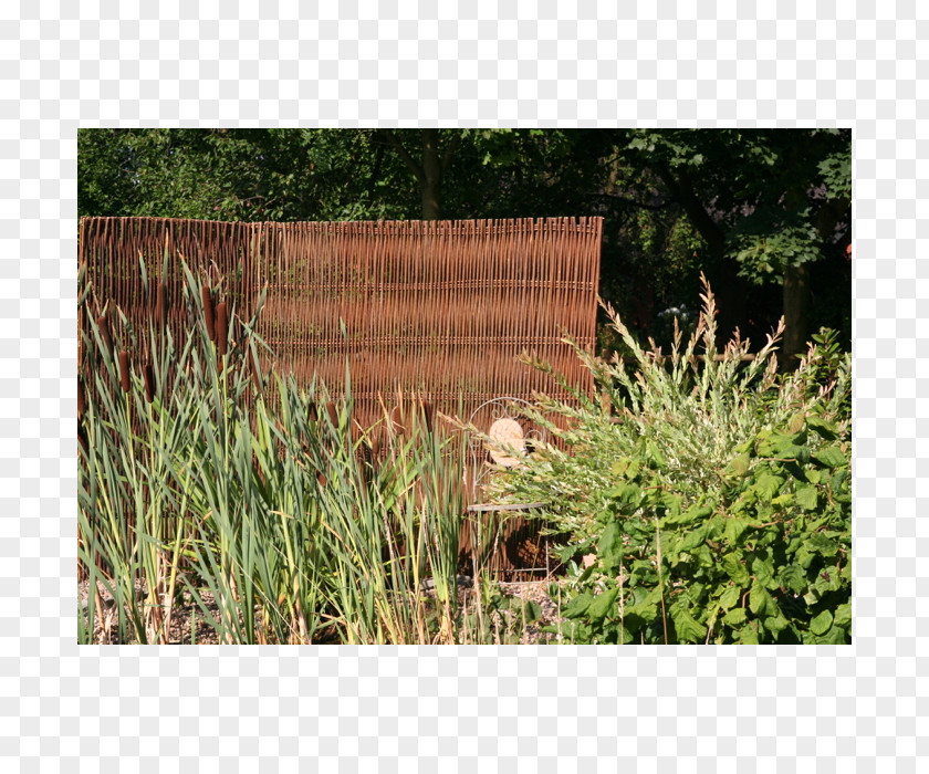Rattan Divider Picket Fence Landscaping Garden /m/083vt PNG