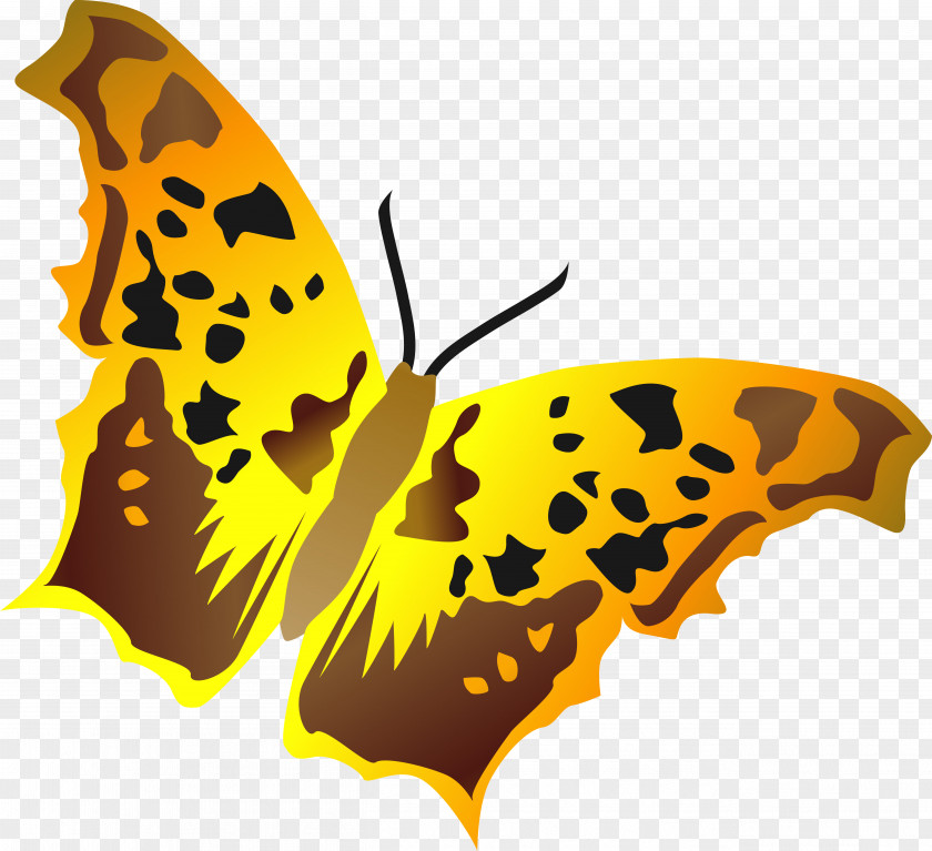 Vector Butterfly Monarch Nymphalidae Wing Clip Art PNG