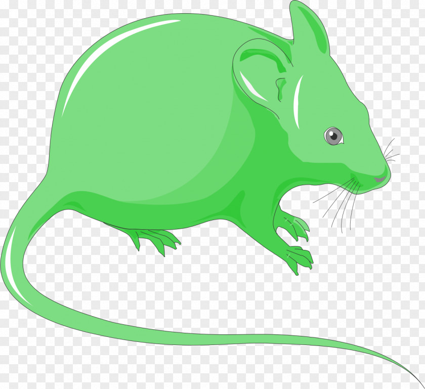 Adaptive Cartoon Rat Gerbil Clip Art Whiskers Image PNG