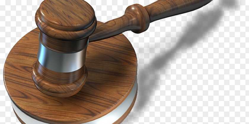 Cyber Crime Judge Court Lawyer Criminal Law PNG