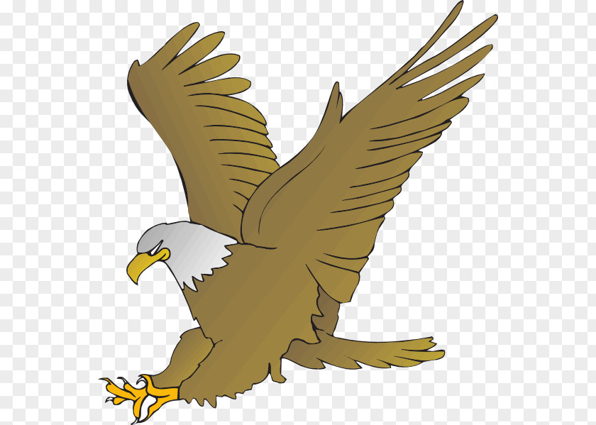 Eagle Bald Golden Clip Art PNG