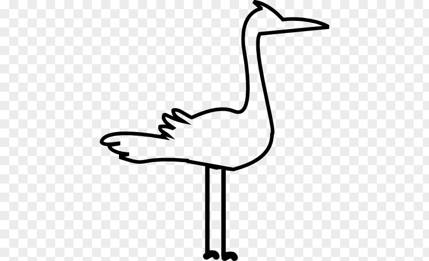 Flamingos Vector PNG