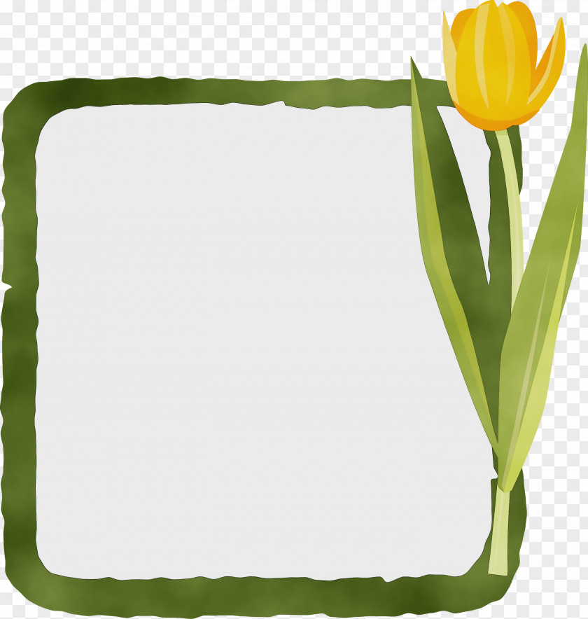 Flower Plant Stem Leaf Rectangle Tulip PNG