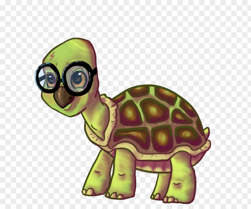 Harry Porter Glasses Sea Turtle Tortoise Reptile Animal PNG