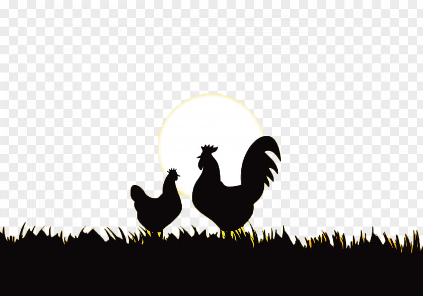 Sunrise Rooster Chicken Silhouette PNG