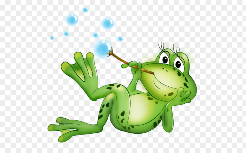 Yilbaşi Ağaci Frog Clip Art PNG