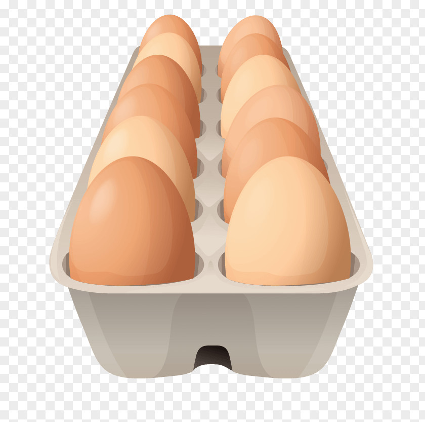Egg Carton Chicken Breakfast Vector Graphics PNG