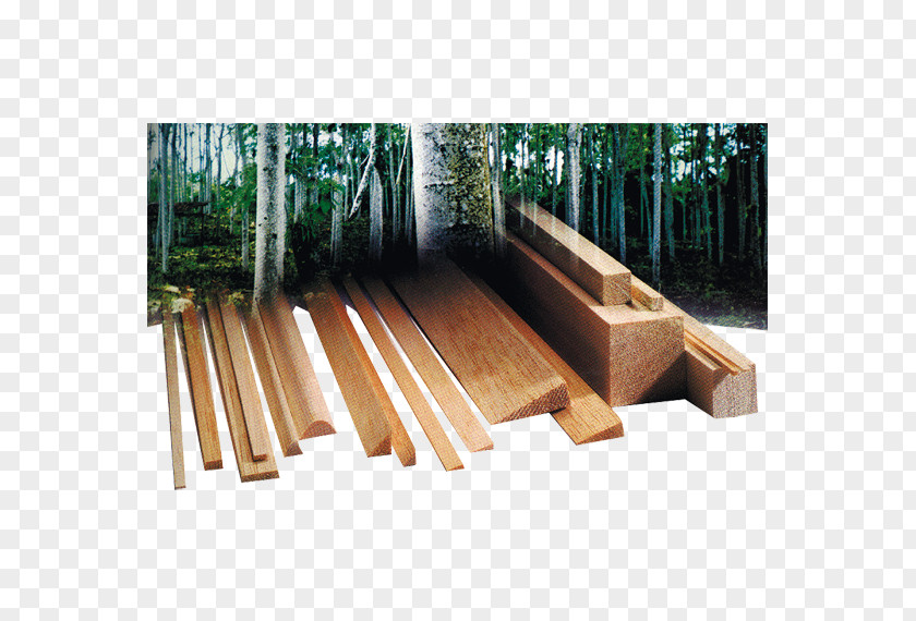 Ochroma Pyramidale Lumber Plywood Hardwood Graupner PNG