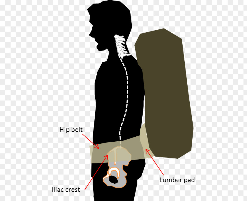 Shoulder Human Back Pelvis Handbag PNG