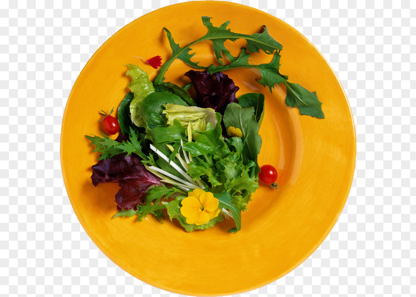 Vegetable Leaf Recipe Dish Salad PNG