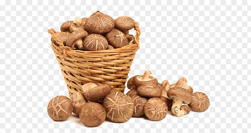 Anti-cancer Lingzhi Mushroom Shiitake Dietary Supplement Health PNG