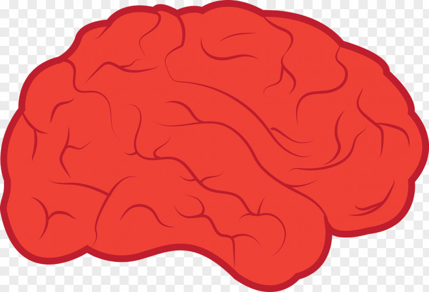 Brain Human Neuron Cognitive Training Clip Art PNG