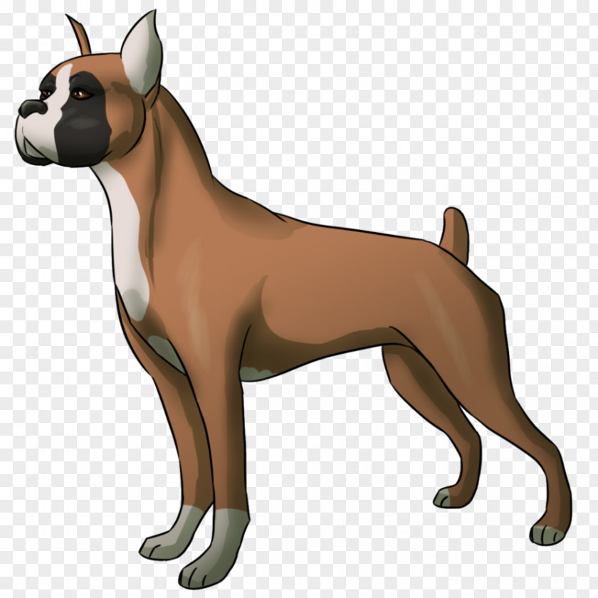 Droopy Ancient Dog Breeds Boxer Snout Breed Group (dog) PNG