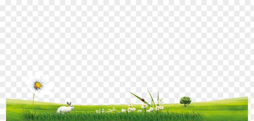 Extension Grassland Crop Golf Balls PNG