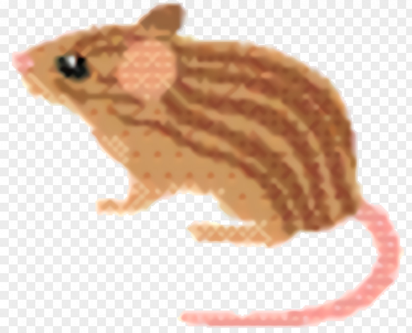 Fawn Pest Hamster Background PNG
