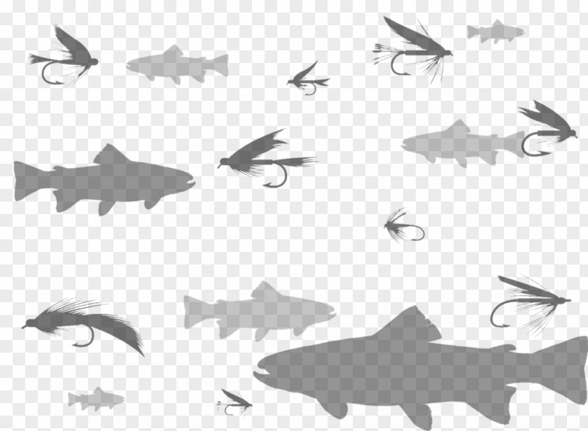 Fly Tying Logos Requiem Sharks Clip Art Fish Product PNG
