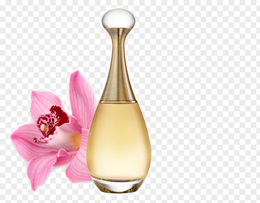 J'Adore Perfume Eau De Toilette Christian Dior SE Parfums PNG
