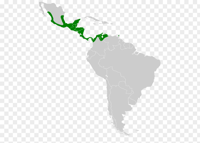 United States Latin America South Central Caribbean PNG
