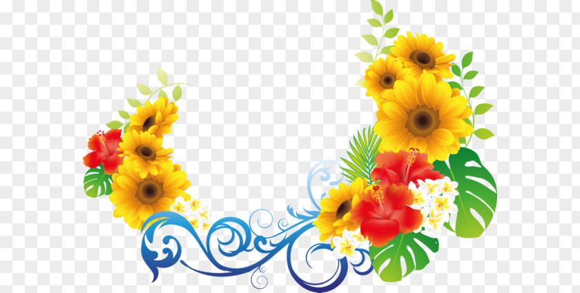 Daisy Family Petal Flowers Background PNG