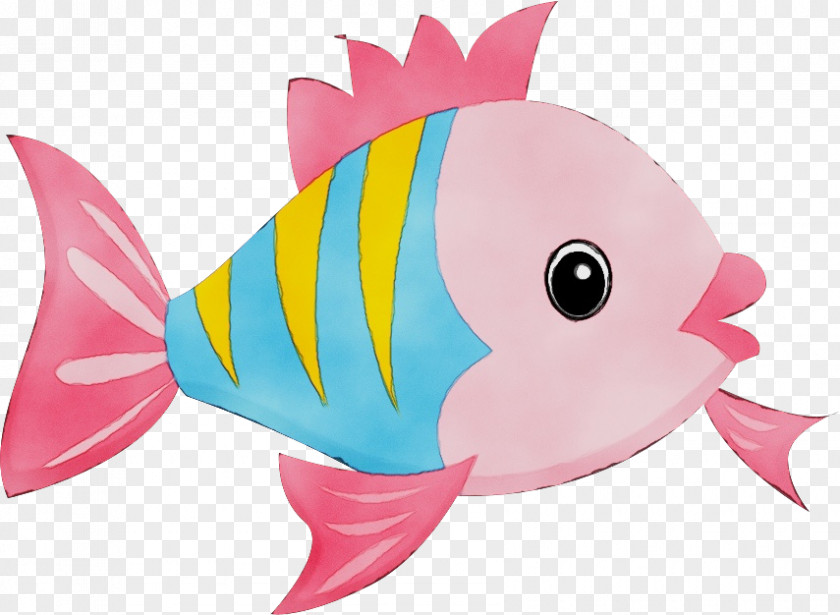 Fish Biology Science PNG