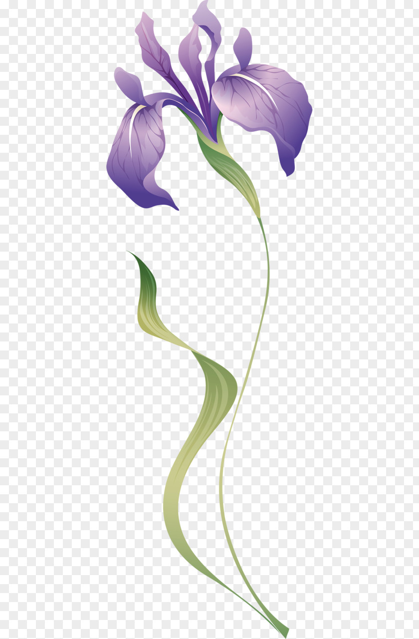 Hand-painted Purple Orchid Flower Brush Irises Petal PNG