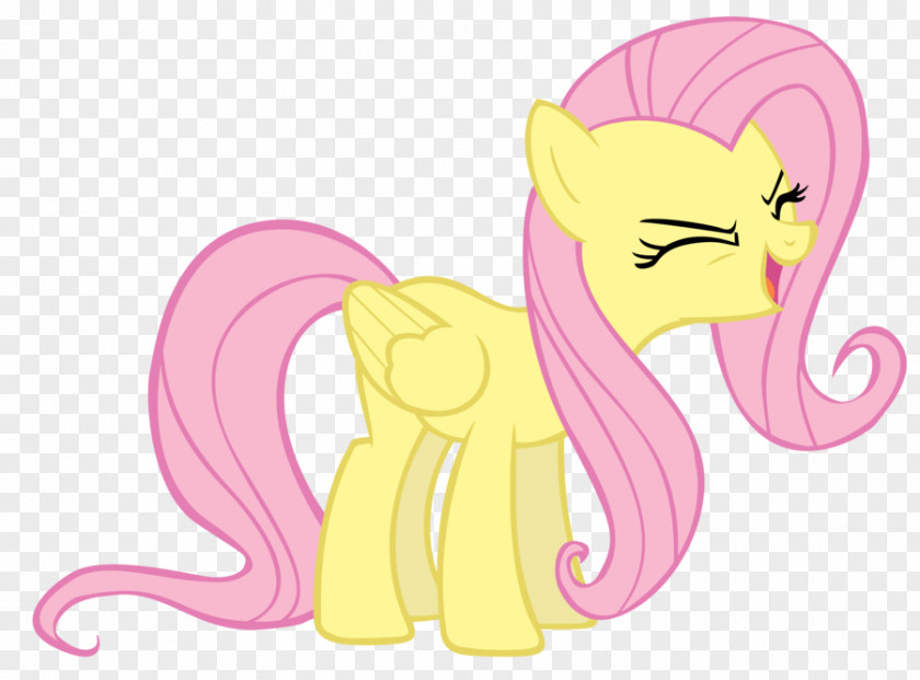 Horse Pony Fluttershy Rainbow Dash Derpy Hooves PNG