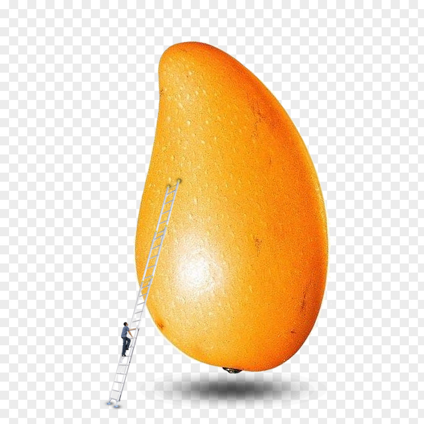 Mango Material Juice Dessert Fruit PNG